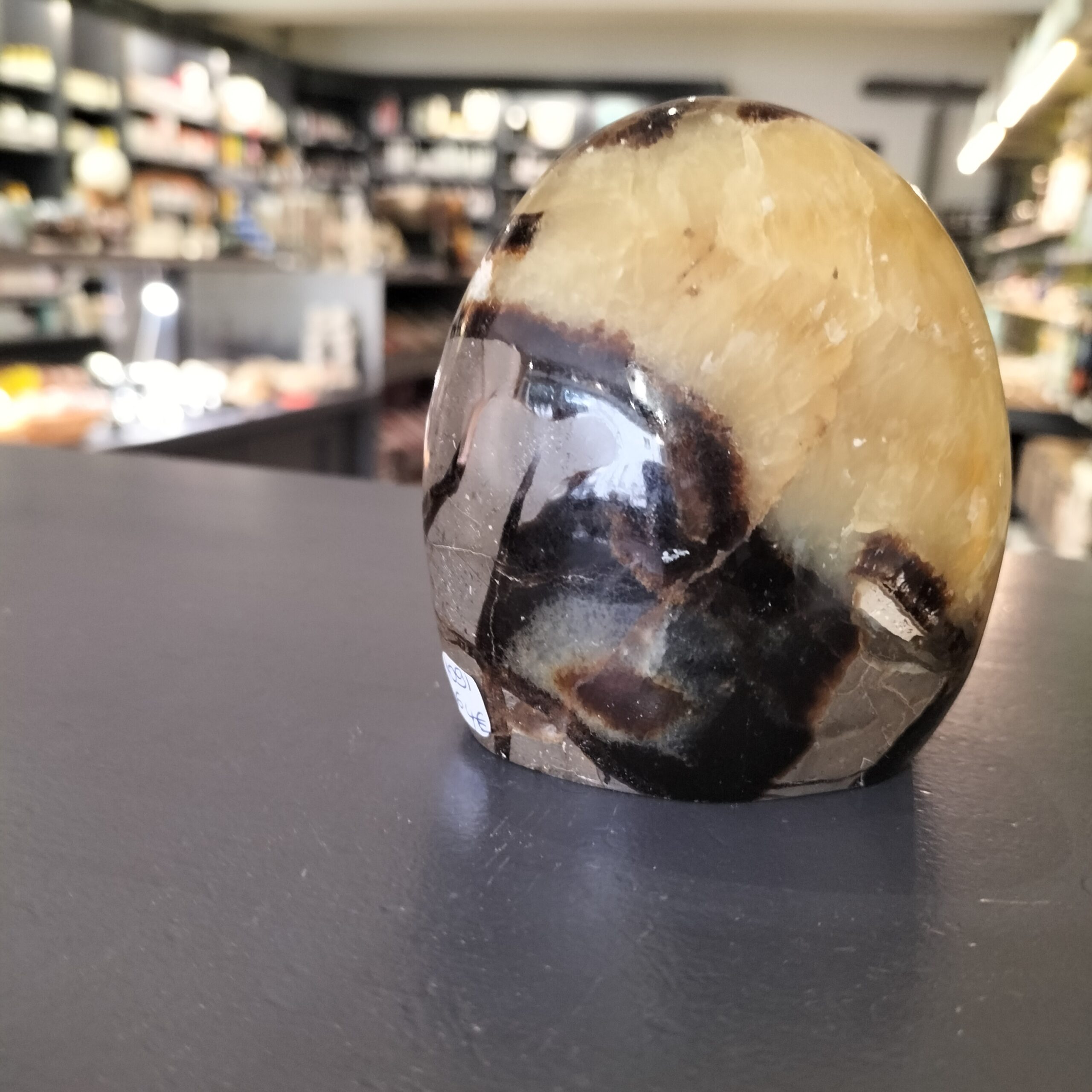 Septaria Forme libre 600gr